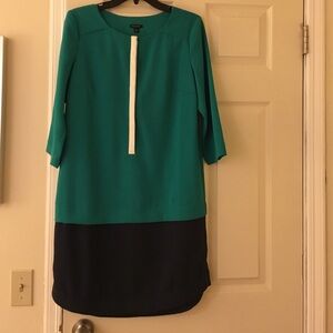 NWOT Ann Taylor Block Shift Dress